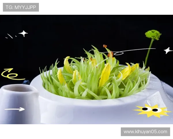 福州姚明厨师的美食之旅探索传统与创新的完美结合